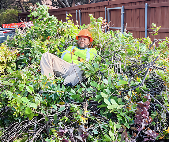 Flocy Tree Service worker clearing overgrown shrubs