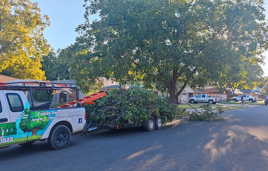 Flocy Tree Service crew removing a large tree