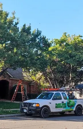 Flocy Tree Service truck at a job site