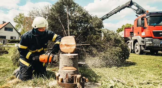 Professional stump grinding services in Lubbock, TX